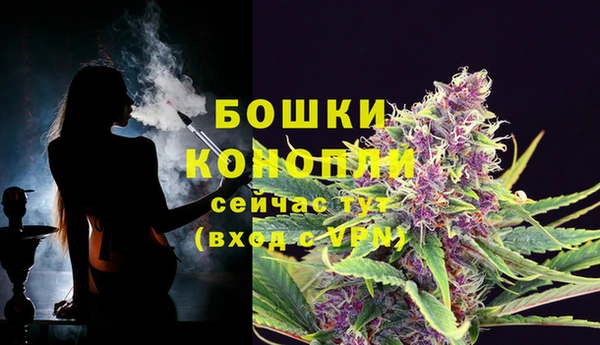 MDMA Горнозаводск